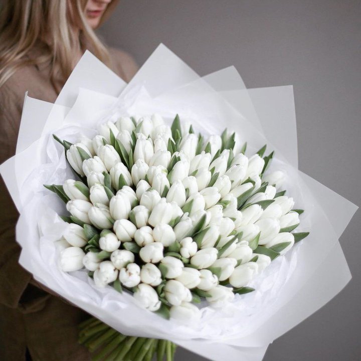 101 белый тюльпан в Иваново